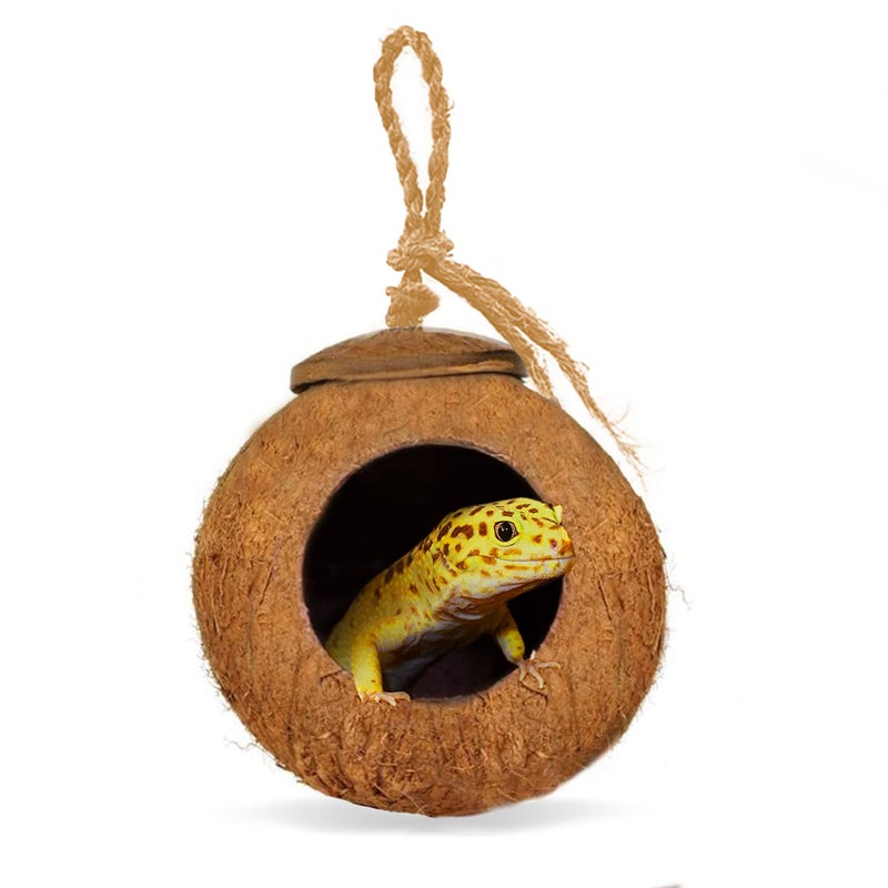 SunGrow Leopard Gecko Coco Hut, Gecko Climbing Accessories, Raw Coconut Shell Reptile Hide, Terrarium Habitat DÃ©cor, 2.5â€ Opening Diameter, with Fiber Loop for Hanging (1-Hole) - Image 1
